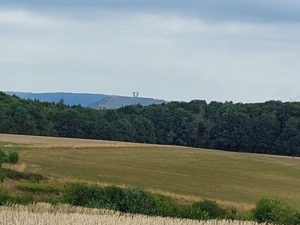 Ferienwohnung Schleiten Püttlingen Εξωτερικό φωτογραφία